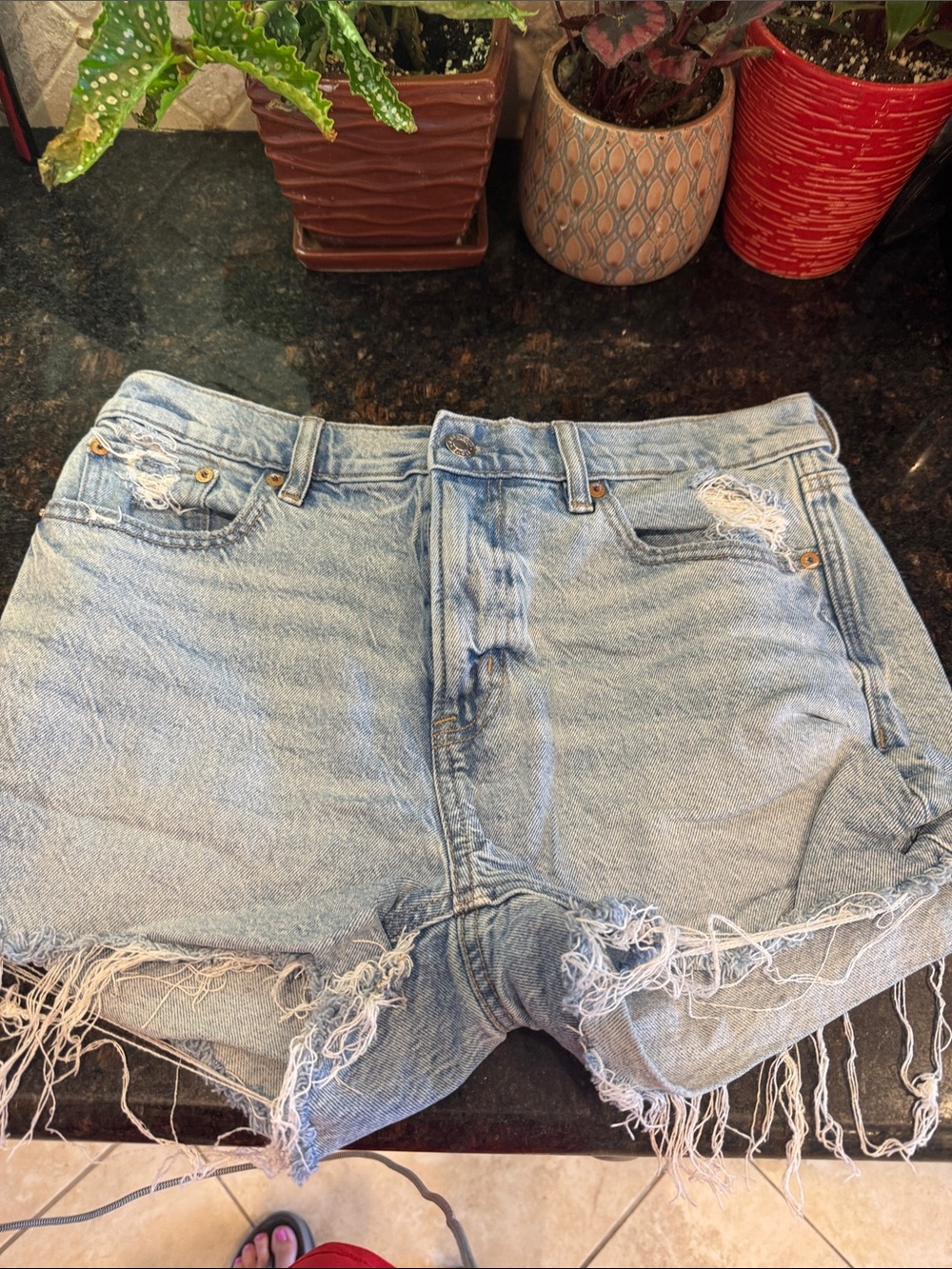 American Eagle Outfitters Light Wash Distressed Denim Shorts
